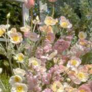 ヒメ日記 2025/11/03 16:02 投稿 Madonna【マドンナ】 Evolution 2nd