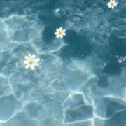 ヒメ日記 2025/11/03 20:00 投稿 Madonna【マドンナ】 Evolution 2nd