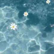 ヒメ日記 2025/11/09 15:43 投稿 Madonna【マドンナ】 Evolution 2nd