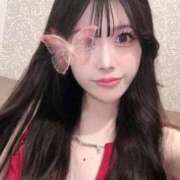 ヒメ日記 2025/11/14 06:12 投稿 Madonna【マドンナ】 Evolution 2nd