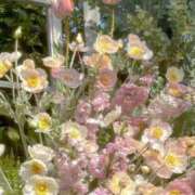 ヒメ日記 2025/11/14 20:52 投稿 Madonna【マドンナ】 Evolution 2nd