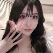 ヒメ日記 2025/11/16 06:17 投稿 Madonna【マドンナ】 Evolution 2nd