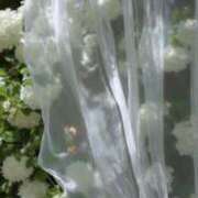 ヒメ日記 2025/11/16 12:42 投稿 Madonna【マドンナ】 Evolution 2nd