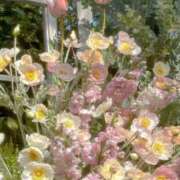 ヒメ日記 2025/11/17 17:46 投稿 Madonna【マドンナ】 Evolution 2nd