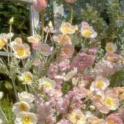 ヒメ日記 2025/11/20 17:32 投稿 Madonna【マドンナ】 Evolution 2nd