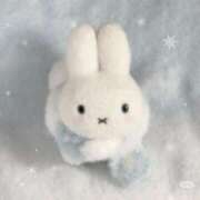 ヒメ日記 2025/11/22 10:42 投稿 Madonna【マドンナ】 Evolution 2nd