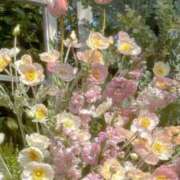 ヒメ日記 2025/11/26 19:22 投稿 Madonna【マドンナ】 Evolution 2nd