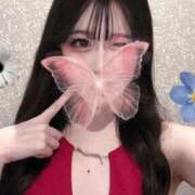 ヒメ日記 2025/11/27 07:12 投稿 Madonna【マドンナ】 Evolution 2nd