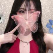 ヒメ日記 2025/11/28 06:20 投稿 Madonna【マドンナ】 Evolution 2nd