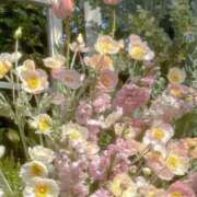 ヒメ日記 2025/11/28 17:42 投稿 Madonna【マドンナ】 Evolution 2nd