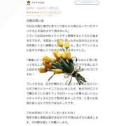 ヒメ日記 2025/12/08 04:42 投稿 Madonna【マドンナ】 Evolution 2nd