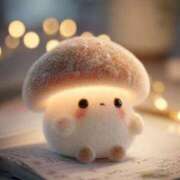 ヒメ日記 2025/12/13 19:02 投稿 Madonna【マドンナ】 Evolution 2nd