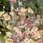 ヒメ日記 2025/12/14 12:10 投稿 Madonna【マドンナ】 Evolution 2nd