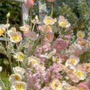 ヒメ日記 2025/12/19 11:33 投稿 Madonna【マドンナ】 Evolution 2nd