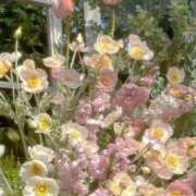 ヒメ日記 2025/12/29 12:33 投稿 Madonna【マドンナ】 Evolution 2nd