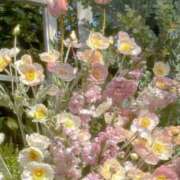 ヒメ日記 2026/01/06 13:12 投稿 Madonna【マドンナ】 Evolution 2nd