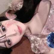 ヒメ日記 2026/03/02 12:42 投稿 Madonna【マドンナ】 Evolution 2nd