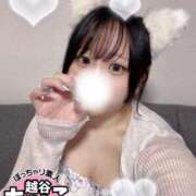 ヒメ日記 2025/09/20 11:27 投稿 こなつ ぽっちゃり巨乳素人専門 埼玉越谷ちゃんこ