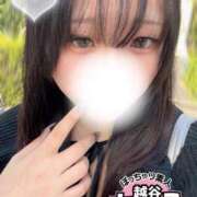 ヒメ日記 2025/10/07 08:48 投稿 こなつ ぽっちゃり巨乳素人専門 埼玉越谷ちゃんこ