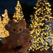 ヒメ日記 2025/11/22 20:54 投稿 こなつ ぽっちゃり巨乳素人専門 埼玉越谷ちゃんこ