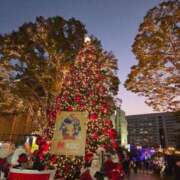 ヒメ日記 2025/12/10 10:03 投稿 あん Ange(長崎)