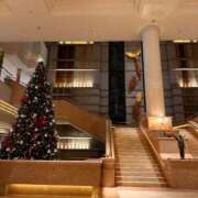 ヒメ日記 2025/12/24 11:48 投稿 あん Ange(長崎)