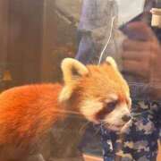 ヒメ日記 2025/12/26 15:18 投稿 あん Ange(長崎)