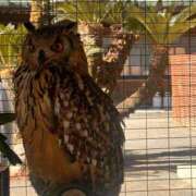 ヒメ日記 2026/02/24 21:39 投稿 あん Ange(長崎)