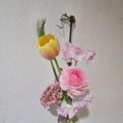 ヒメ日記 2026/02/27 14:42 投稿 あん Ange(長崎)