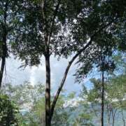 ヒメ日記 2025/09/17 23:44 投稿 三鷹ゆきな アロマファンタジー高輪