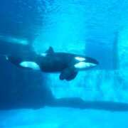 ヒメ日記 2026/02/23 23:50 投稿 かほ れもんガールズ