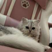 ヒメ日記 2025/11/29 10:10 投稿 ゆうり れもんガールズ