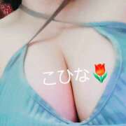 ヒメ日記 2025/09/09 10:10 投稿 こひな 蒼いうさぎ