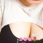 ヒメ日記 2025/09/12 13:03 投稿 こひな 蒼いうさぎ