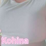 ヒメ日記 2025/09/26 13:58 投稿 こひな 蒼いうさぎ