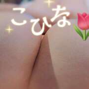 ヒメ日記 2025/09/27 16:17 投稿 こひな 蒼いうさぎ