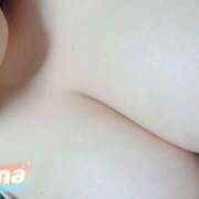 ヒメ日記 2025/10/01 12:20 投稿 こひな 蒼いうさぎ