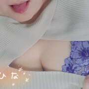 ヒメ日記 2025/11/08 18:27 投稿 こひな 蒼いうさぎ