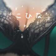 ヒメ日記 2025/11/19 16:33 投稿 こひな 蒼いうさぎ