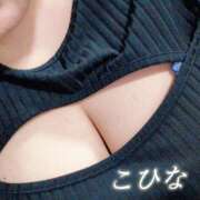 ヒメ日記 2026/02/05 19:26 投稿 こひな 蒼いうさぎ