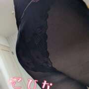 ヒメ日記 2026/02/15 12:52 投稿 こひな 蒼いうさぎ