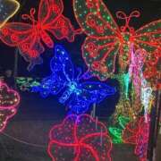 ヒメ日記 2026/01/18 11:19 投稿 浜園ゆう子 五十路マダム 博多店