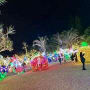 ヒメ日記 2026/01/20 13:17 投稿 浜園ゆう子 五十路マダム 博多店