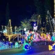 ヒメ日記 2026/02/01 19:12 投稿 浜園ゆう子 五十路マダム 博多店