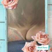 ヒメ日記 2026/02/09 11:47 投稿 浜園ゆう子 五十路マダム 博多店