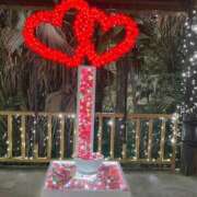 ヒメ日記 2026/03/16 03:27 投稿 浜園ゆう子 五十路マダム 博多店