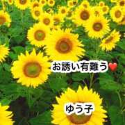 ヒメ日記 2026/08/17 00:07 投稿 浜園ゆう子 五十路マダム 博多店