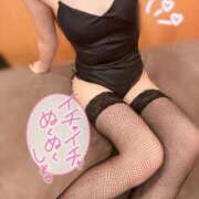 ヒメ日記 2025/11/22 12:30 投稿 レナ いたずらバニーちゃん