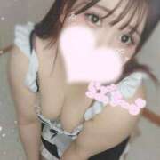 ヒメ日記 2025/09/05 15:02 投稿 あいす 白いぽっちゃりさん