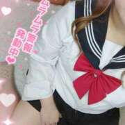 ヒメ日記 2025/09/08 08:12 投稿 あいす 白いぽっちゃりさん